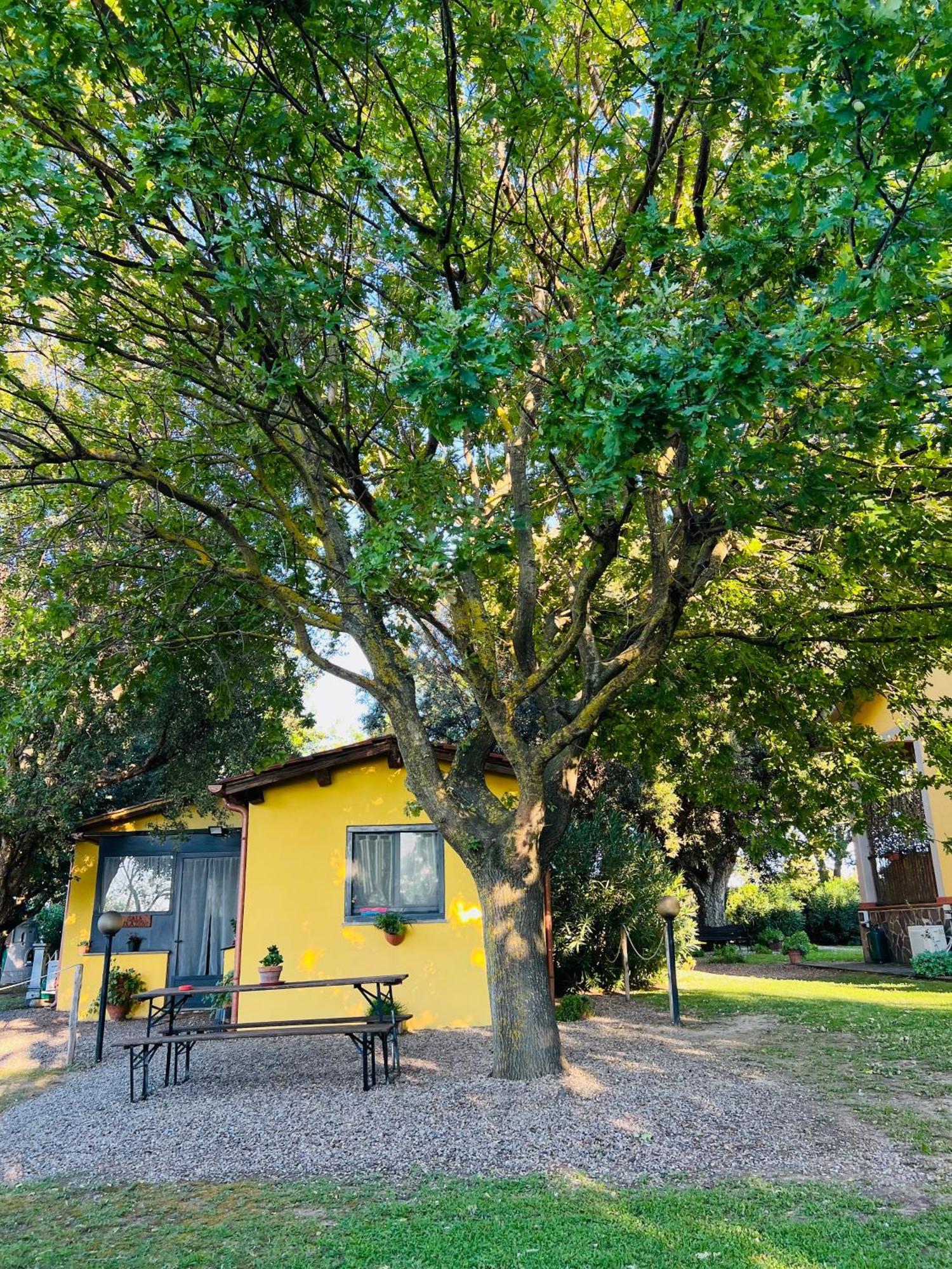 Il Melarancio Panzió Pescia Romana Kültér fotó